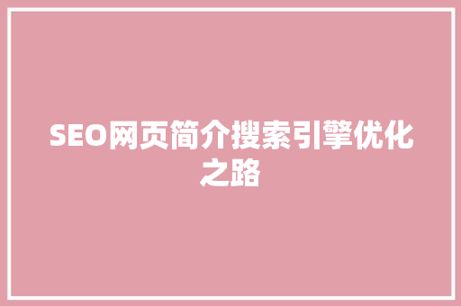 SEO网页简介搜索引擎优化之路