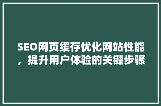SEO网页缓存优化网站性能，提升用户体验的关键步骤