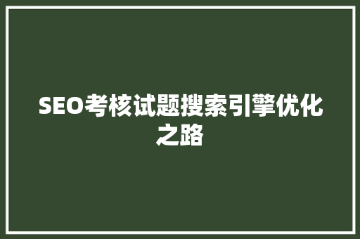 SEO考核试题搜索引擎优化之路