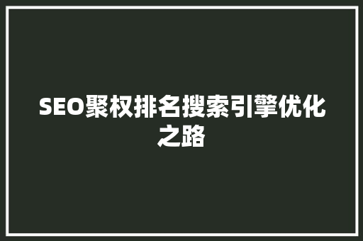 SEO聚权排名搜索引擎优化之路