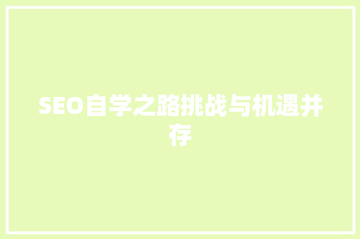 SEO自学之路挑战与机遇并存