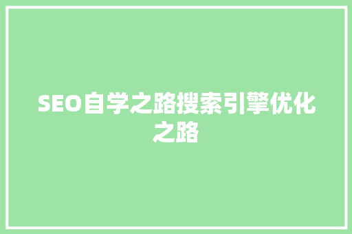 SEO自学之路搜索引擎优化之路