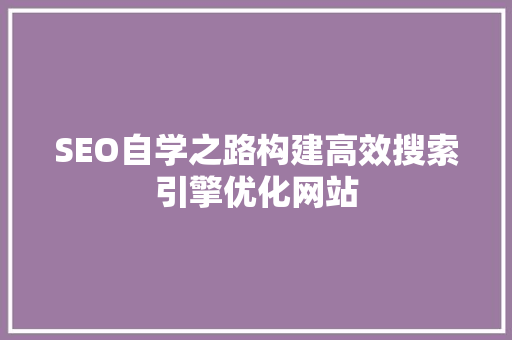 SEO自学之路构建高效搜索引擎优化网站