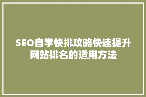 SEO自学快排攻略快速提升网站排名的适用方法