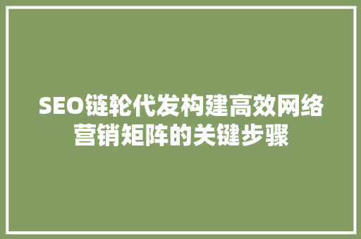 SEO链轮代发构建高效网络营销矩阵的关键步骤