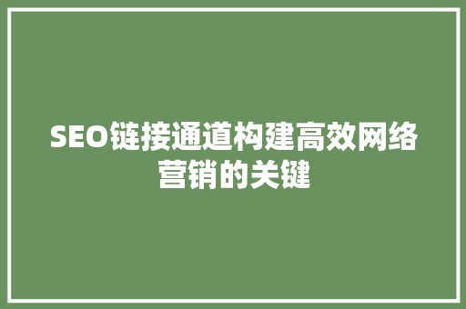 SEO链接通道构建高效网络营销的关键