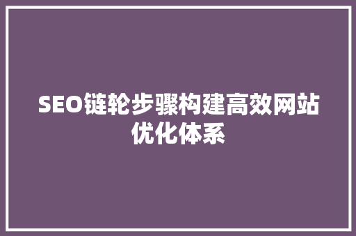 SEO链轮步骤构建高效网站优化体系
