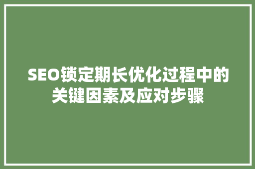 SEO锁定期长优化过程中的关键因素及应对步骤