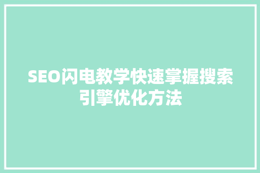 SEO闪电教学快速掌握搜索引擎优化方法