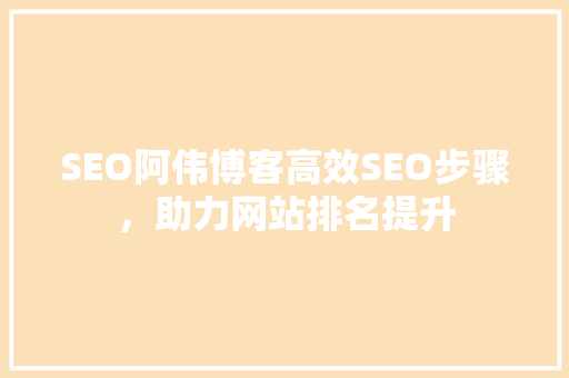SEO阿伟博客高效SEO步骤，助力网站排名提升