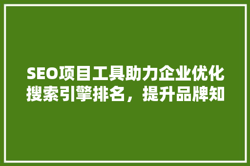 SEO项目工具助力企业优化搜索引擎排名，提升品牌知名度