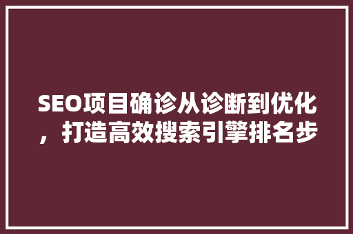 SEO项目确诊从诊断到优化，打造高效搜索引擎排名步骤