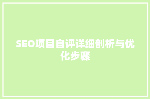 SEO项目自评详细剖析与优化步骤