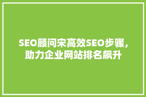 SEO顾问宋高效SEO步骤，助力企业网站排名飙升