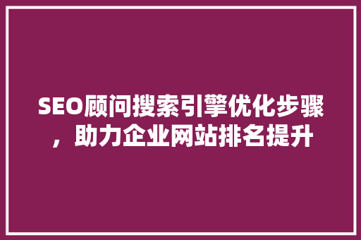 SEO顾问搜索引擎优化步骤，助力企业网站排名提升