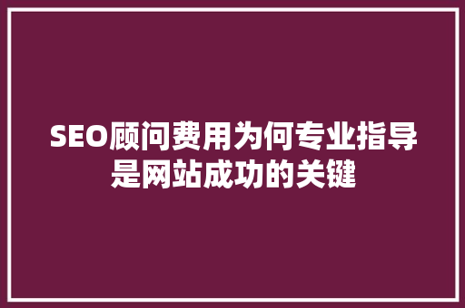 SEO顾问费用为何专业指导是网站成功的关键