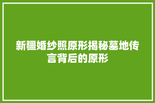 新疆婚纱照原形揭秘墓地传言背后的原形