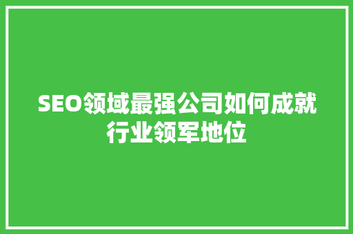 SEO领域最强公司如何成就行业领军地位