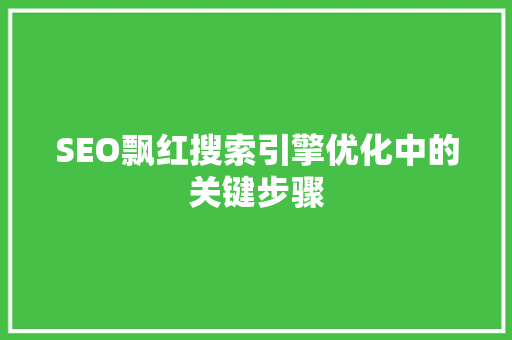 SEO飘红搜索引擎优化中的关键步骤