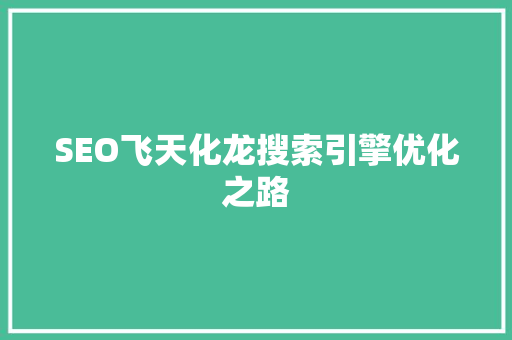 SEO飞天化龙搜索引擎优化之路