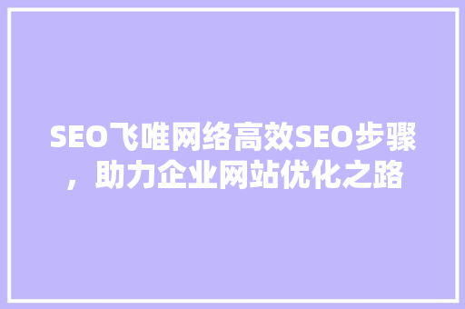 SEO飞唯网络高效SEO步骤，助力企业网站优化之路