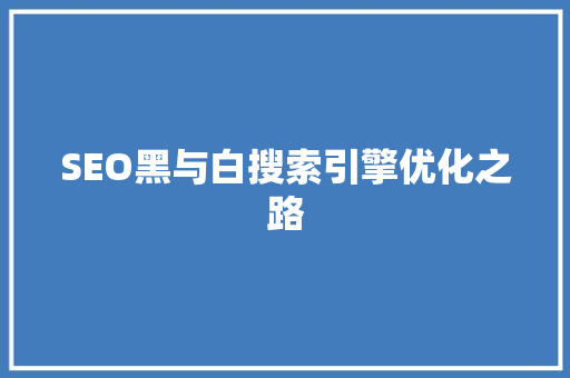 SEO黑与白搜索引擎优化之路