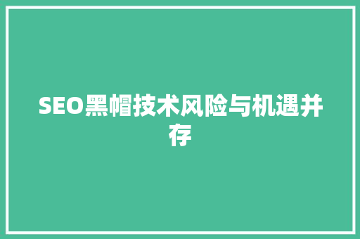 SEO黑帽技术风险与机遇并存