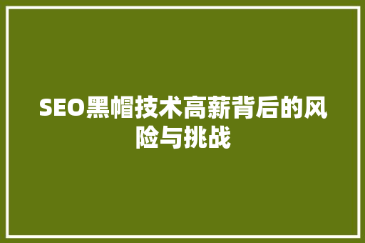 SEO黑帽技术高薪背后的风险与挑战