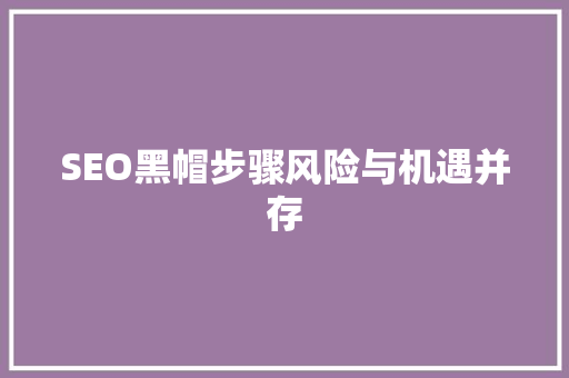 SEO黑帽步骤风险与机遇并存