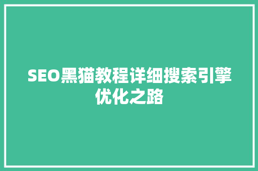 SEO黑猫教程详细搜索引擎优化之路