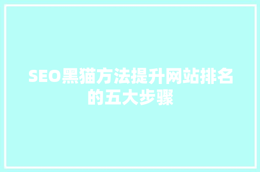 SEO黑猫方法提升网站排名的五大步骤
