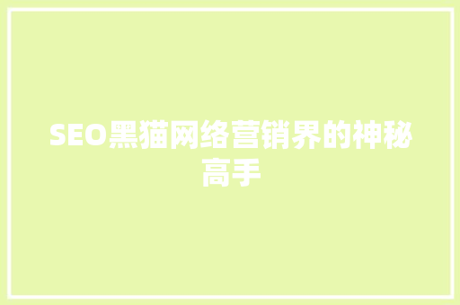 SEO黑猫网络营销界的神秘高手