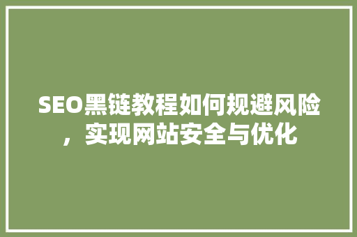 SEO黑链教程如何规避风险，实现网站安全与优化