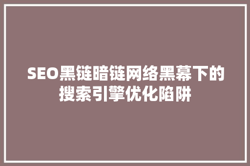 SEO黑链暗链网络黑幕下的搜索引擎优化陷阱