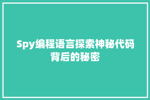 Spy编程语言探索神秘代码背后的秘密