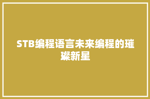 STB编程语言未来编程的璀璨新星