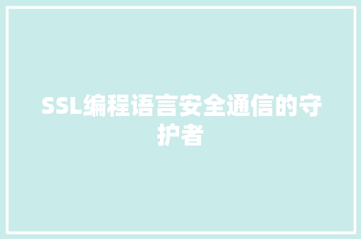 SSL编程语言安全通信的守护者
