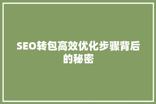 SEO转包高效优化步骤背后的秘密