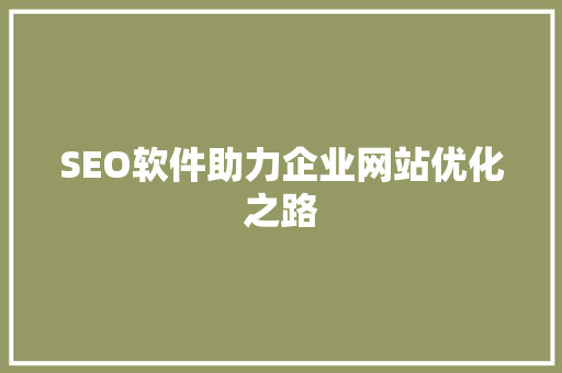 SEO软件助力企业网站优化之路