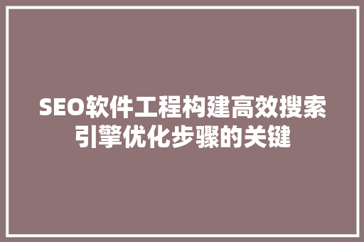 SEO软件工程构建高效搜索引擎优化步骤的关键