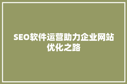 SEO软件运营助力企业网站优化之路