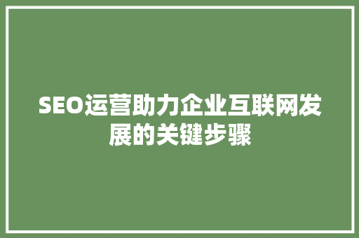 SEO运营助力企业互联网发展的关键步骤