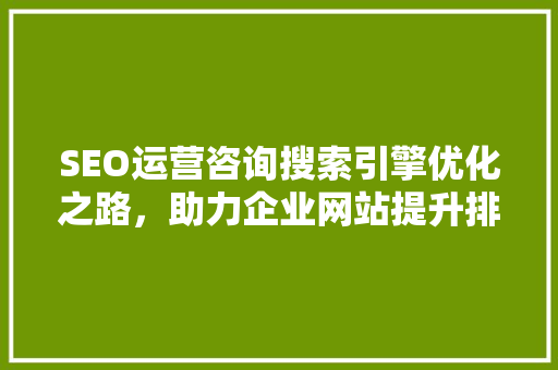 SEO运营咨询搜索引擎优化之路，助力企业网站提升排名
