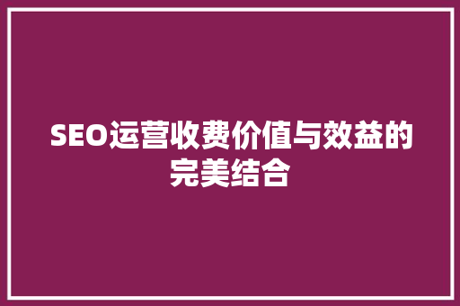 SEO运营收费价值与效益的完美结合