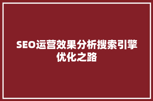 SEO运营效果分析搜索引擎优化之路