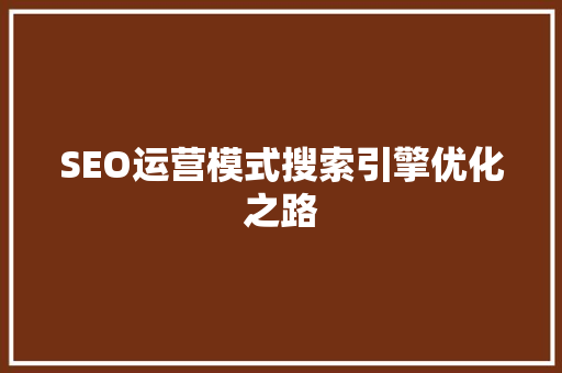 SEO运营模式搜索引擎优化之路