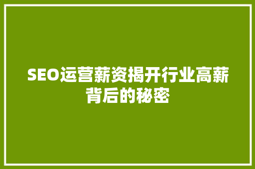 SEO运营薪资揭开行业高薪背后的秘密