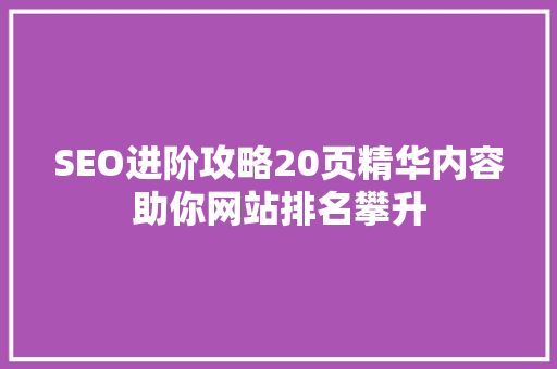 SEO进阶攻略20页精华内容助你网站排名攀升