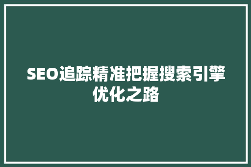 SEO追踪精准把握搜索引擎优化之路