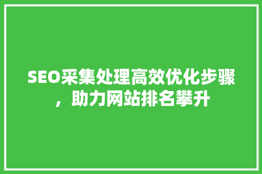 SEO采集处理高效优化步骤，助力网站排名攀升